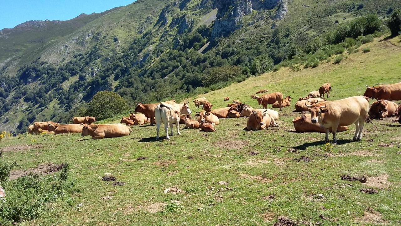 Felechosa Ski & Senderismo Esterno foto